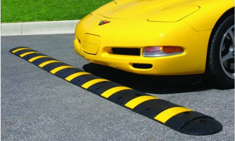 Managing Vehicle Speeds on Florida Coastal and Private Roads