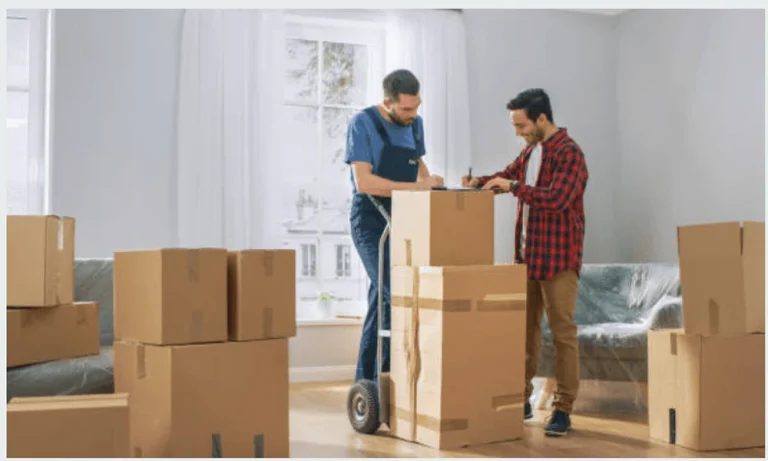 What Services Do International Movers and Packers Provide?